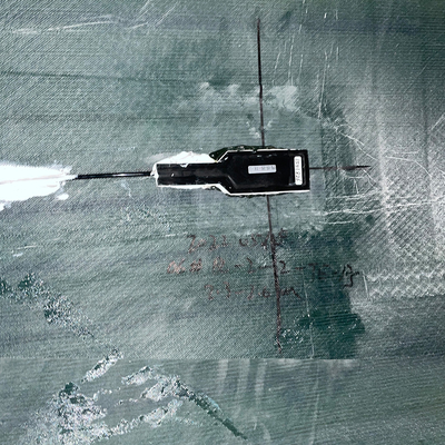 Sensore temporaneo della grata di Bragg della fibra del generatore eolico di lidar del FD dei pesci luna di stoccaggio di -40-80C